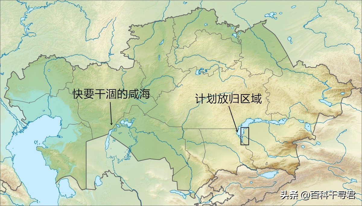 最大内陆国计划让里海虎“秽土转生”，莱昂纳多曾发文支持