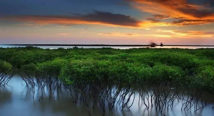 北海涠洲岛旅游攻略5天4晚双飞,西安北海涠洲岛自由行六日游