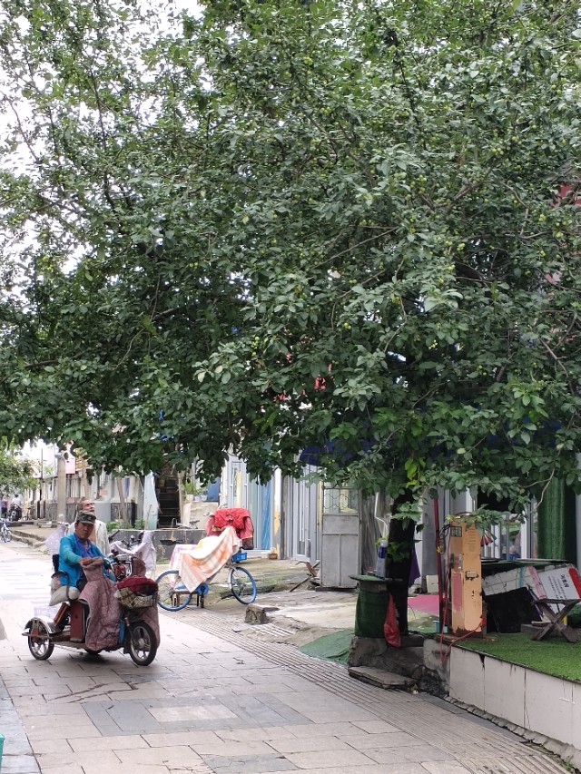 临沂兰山哪个地方位置好房价低,临沂市兰山区近期房价