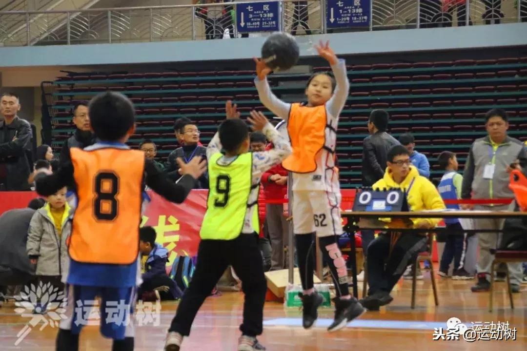 中国篮球名宿走进学校,中国篮球名宿26分