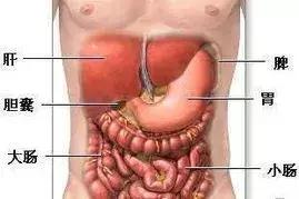 脾脏增大的原因和危害及治疗,脾脏切除的注意事项和以后的影响