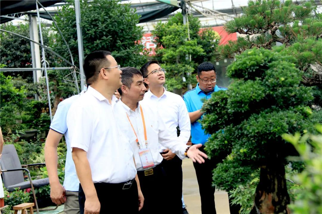 宿迁市沭阳县沭阳国际花木城,沭阳国际花木城布局