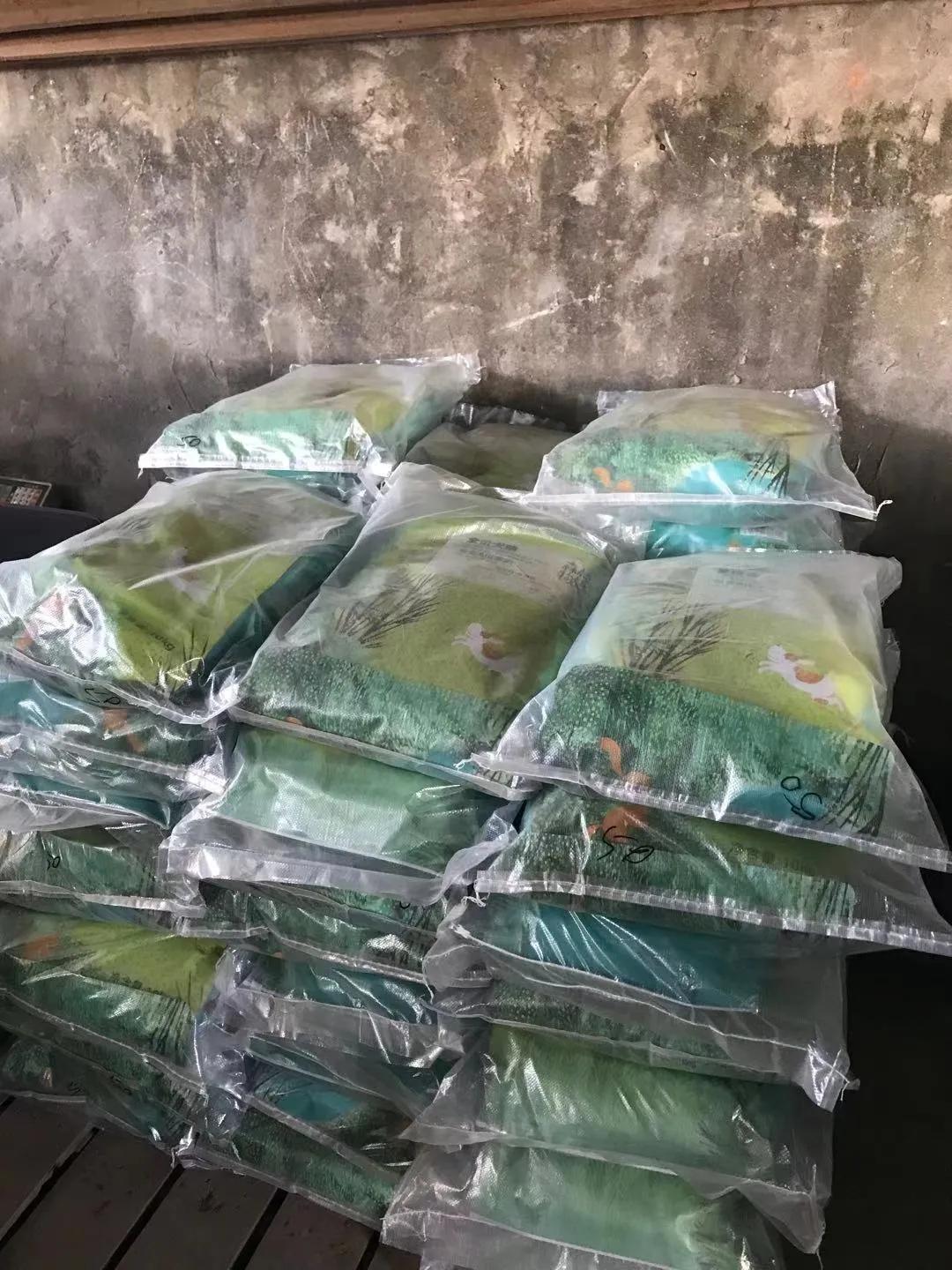 新年捐赠反馈，馋不腻，嘉传，小饿魔，艾尔，蛙牌都到货啦