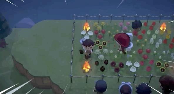 动物之森入门指南,动物之森有哪些注意事项