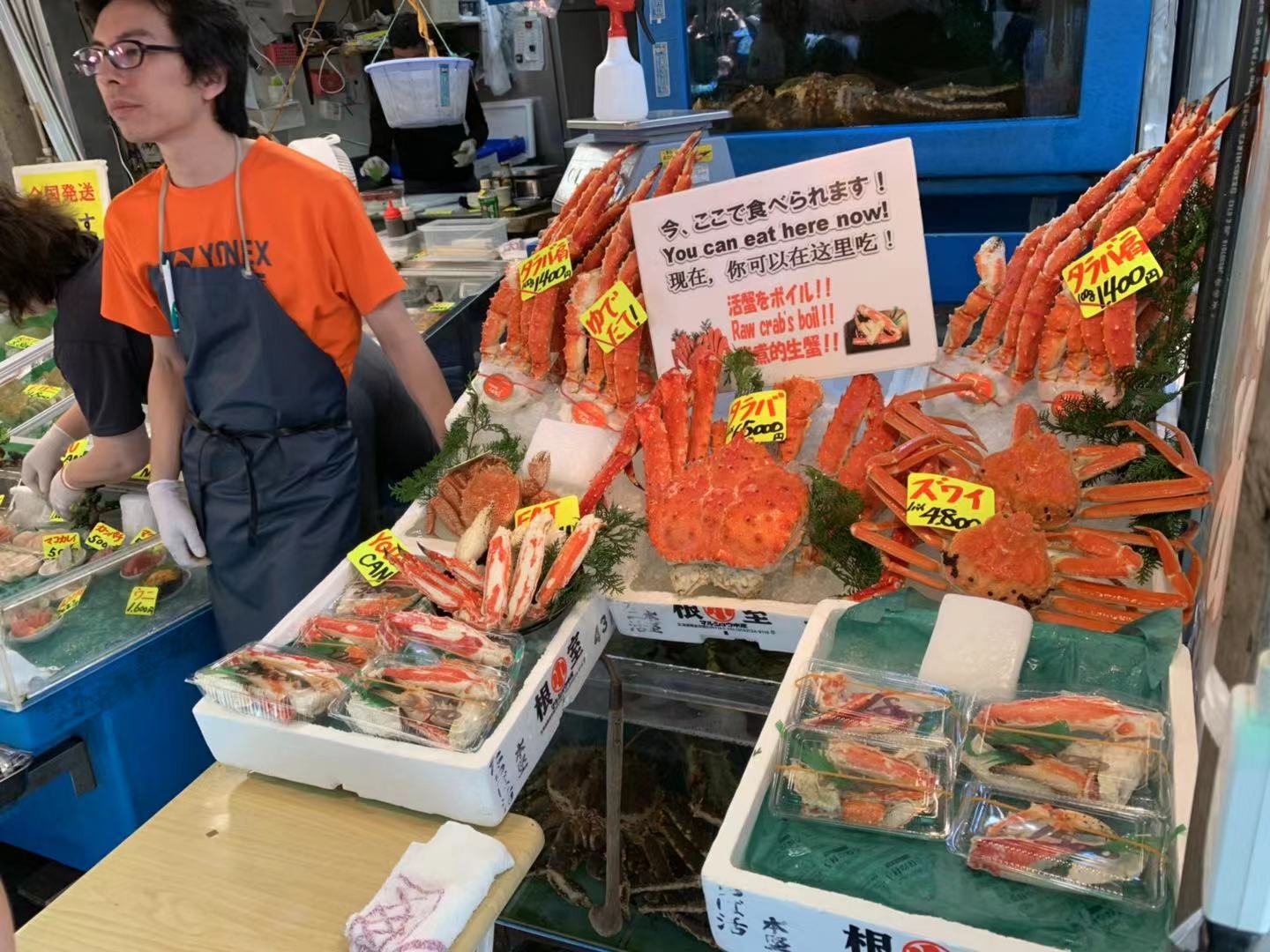 东京游记攻略,东京旅游指南攻略