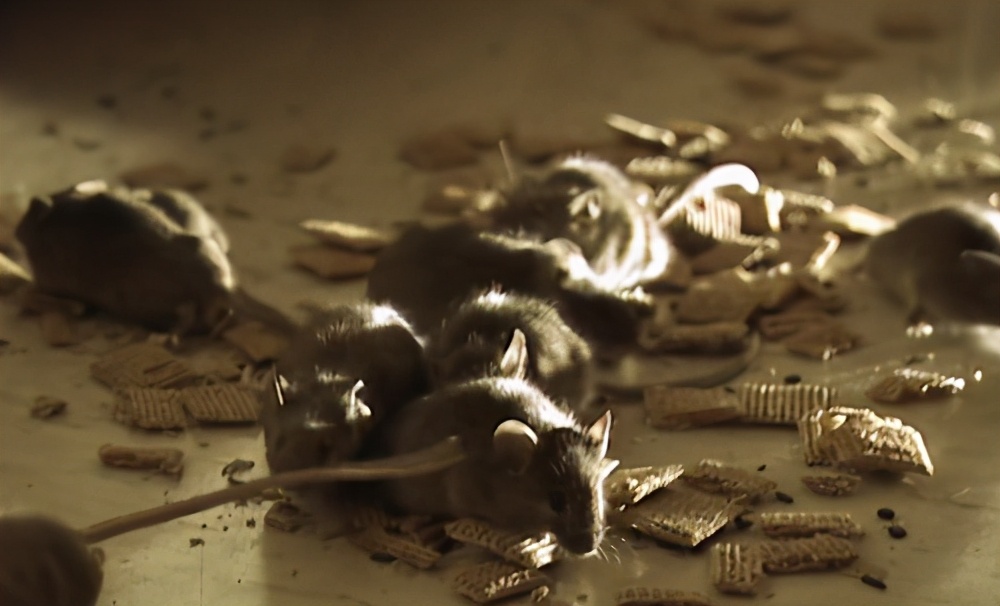 人类凭空消失去哪了,2027年人类会不会消失