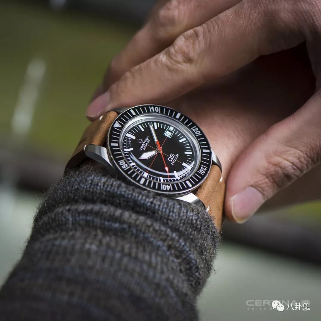 雪铁纳5800元,雪铁纳到底值得买吗