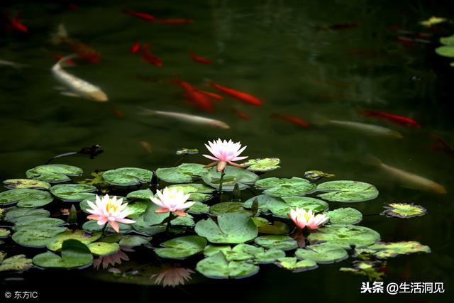 转运时真的可以转运吗,转运当天最好做些什么