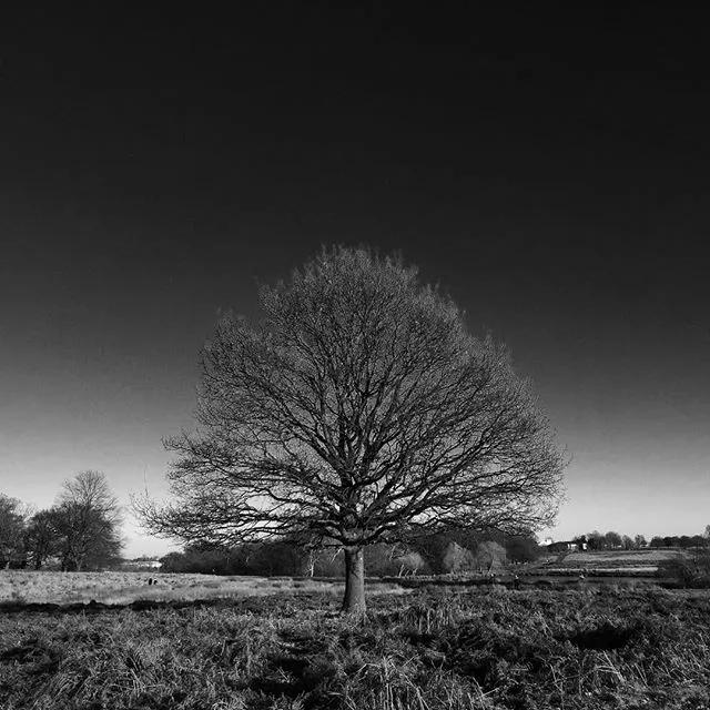 这些泰国明星的隐藏技能比专业厉害！好看皮囊和有趣灵魂真能共体