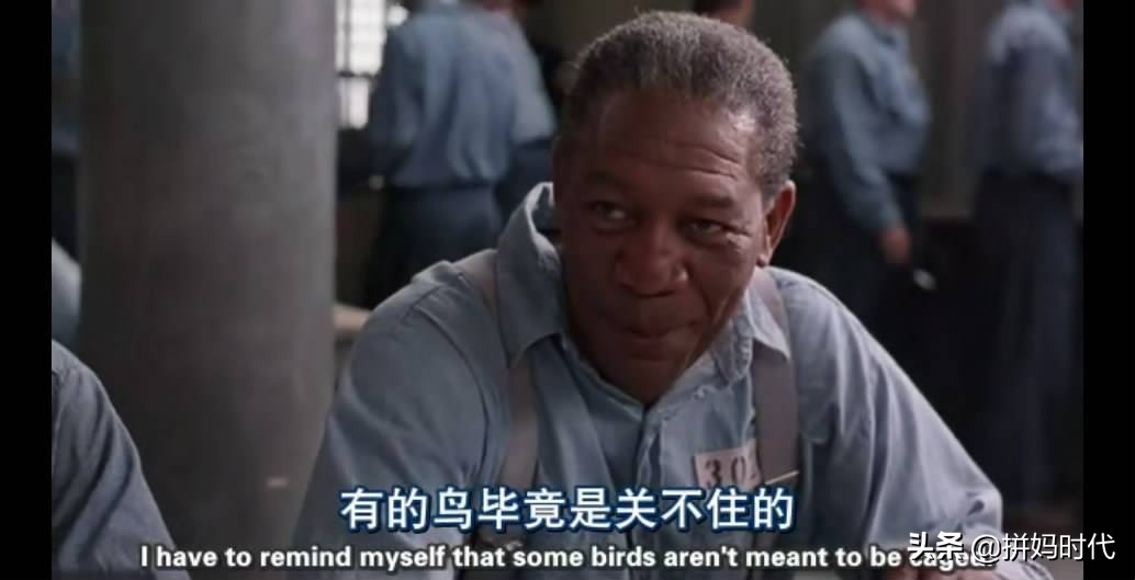 肖申克的救赎,肖申克的救赎教育心理学