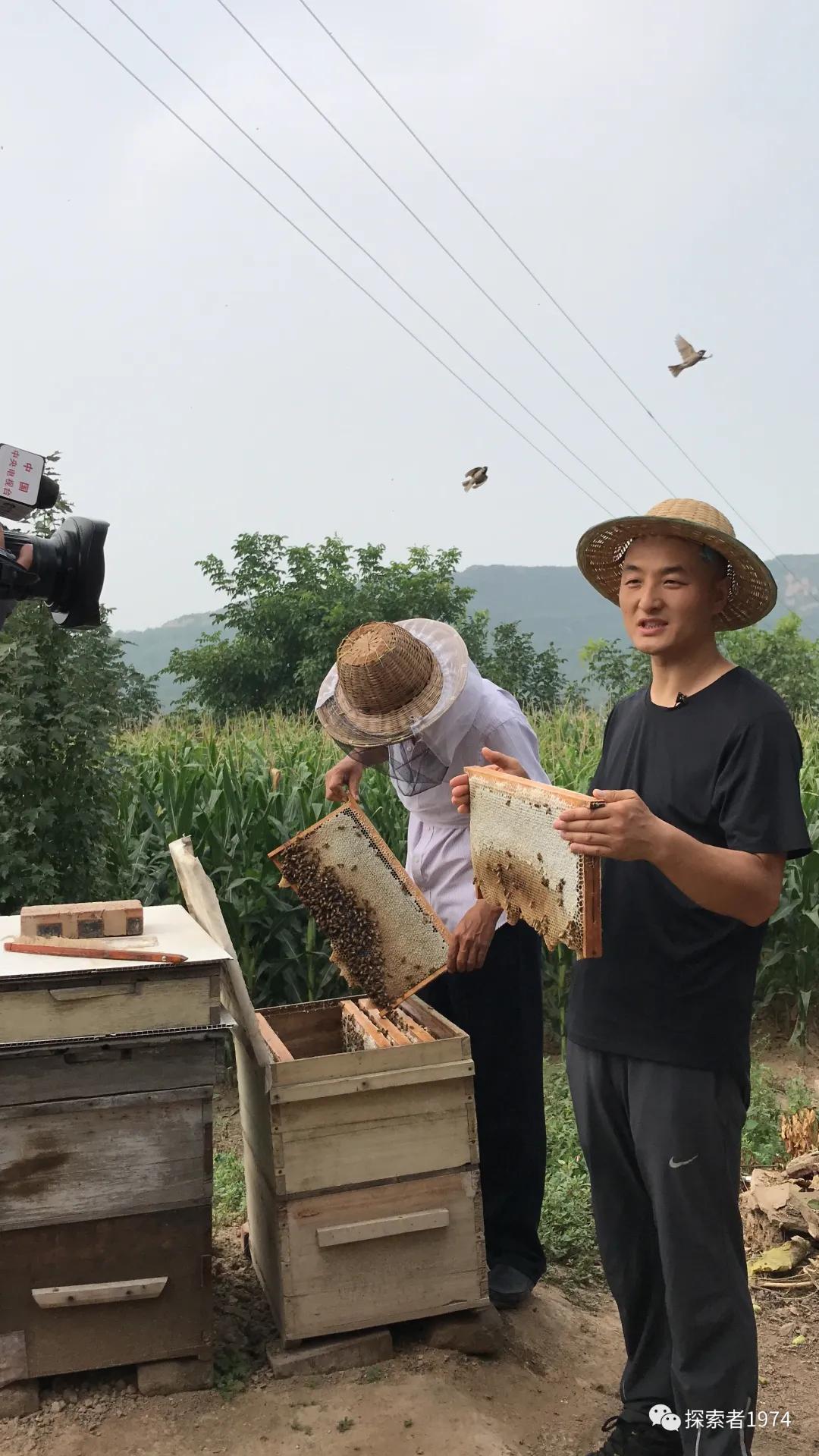 中国这个县“甜蜜事业从业者人数”排第一