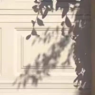 经过的荒芜，已埋葬在心—小熊经常不喝水，就变成了小熊饼干