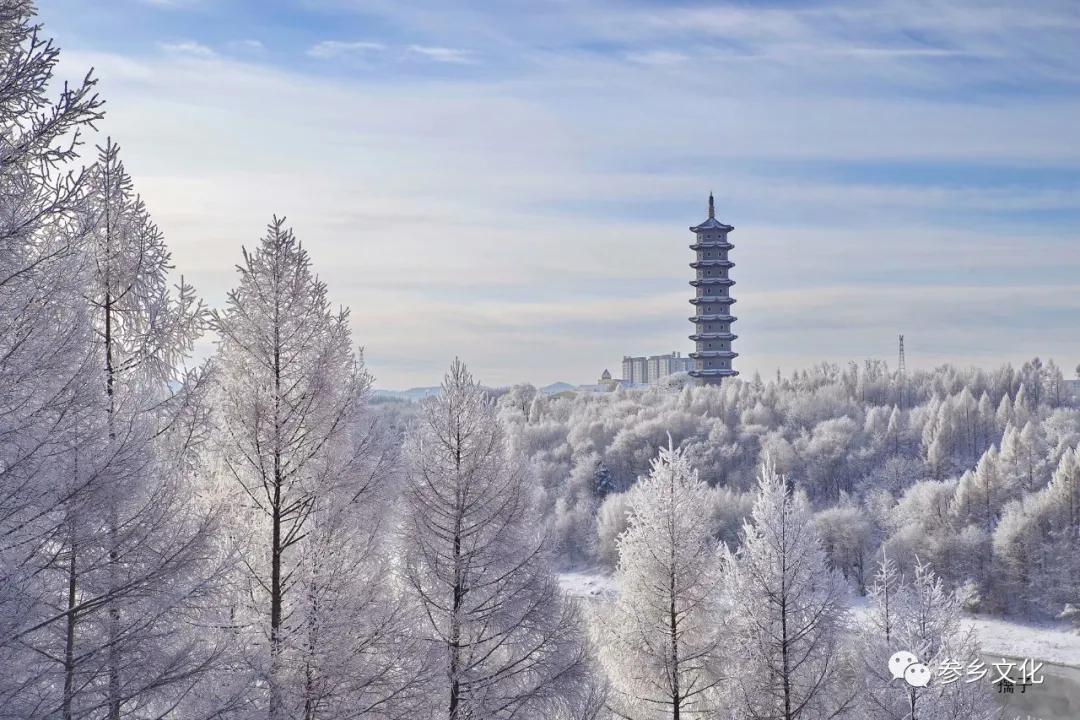11月28日，大咖云集。来看看冷季节里的热抚松