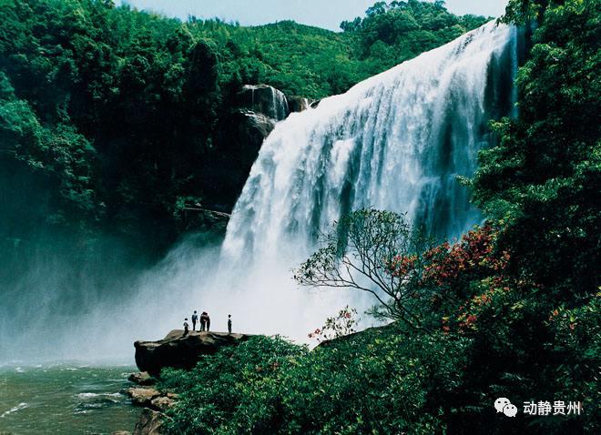 贵州绿博园门票预约,贵州景区预约门票的小程序是什么