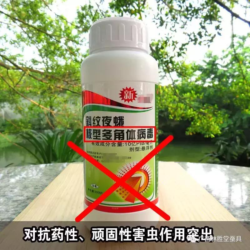 蚕脓病毒怎么彻底消灭,怎样防治脓蚕