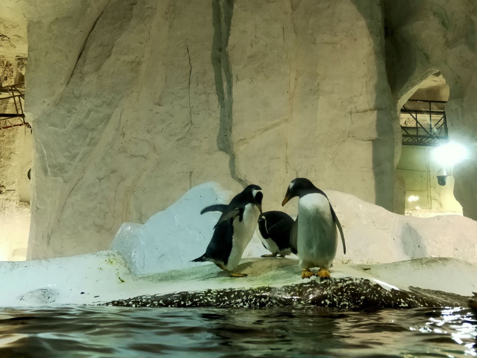 辽宁大连推荐旅游景点,辽宁大连旅游必去景点