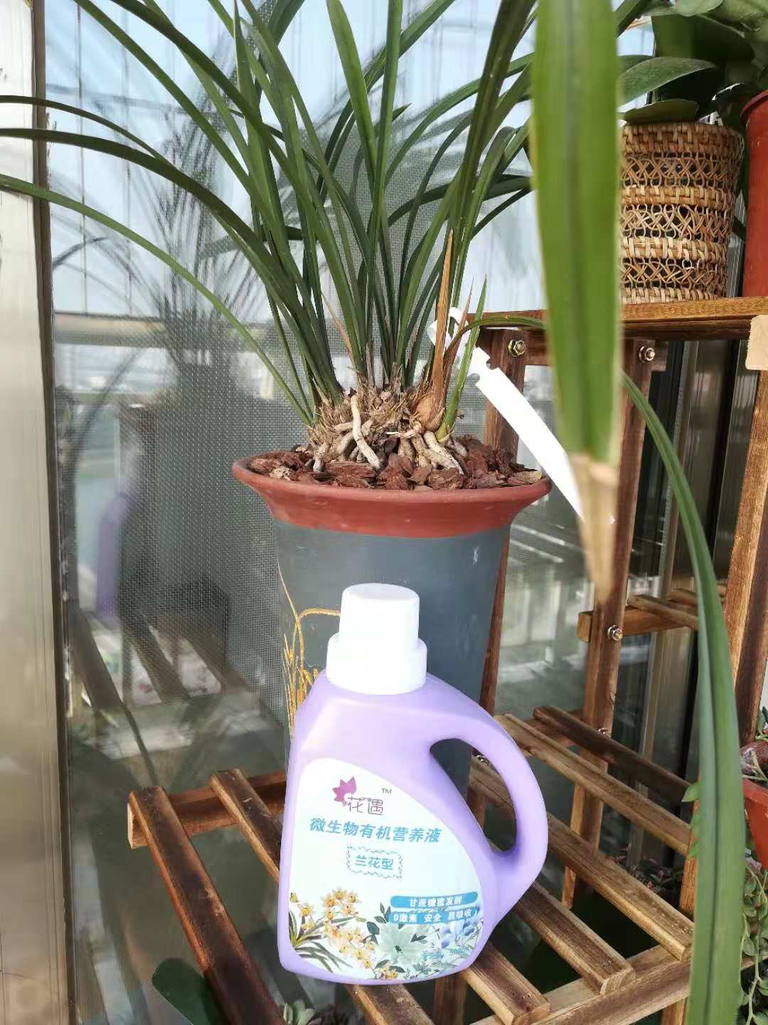 天了噜，花遇福利，“清凉”来袭啦