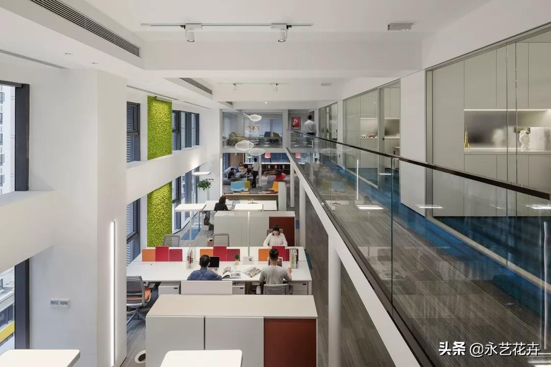 永生花苔藓植物墙,永生苔藓的价格