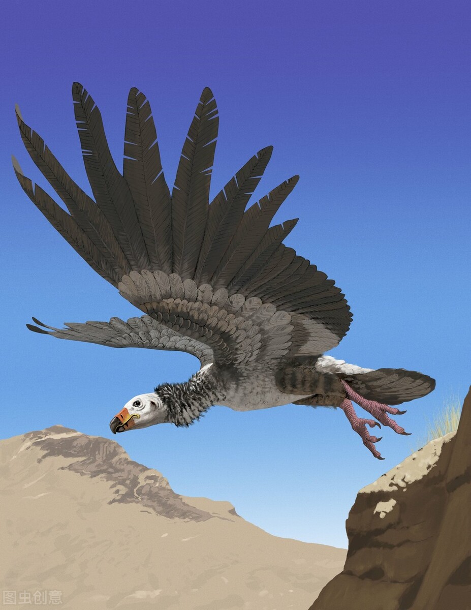 世界上地球最大的巨型生物,10种地球上最惊人的史前动物