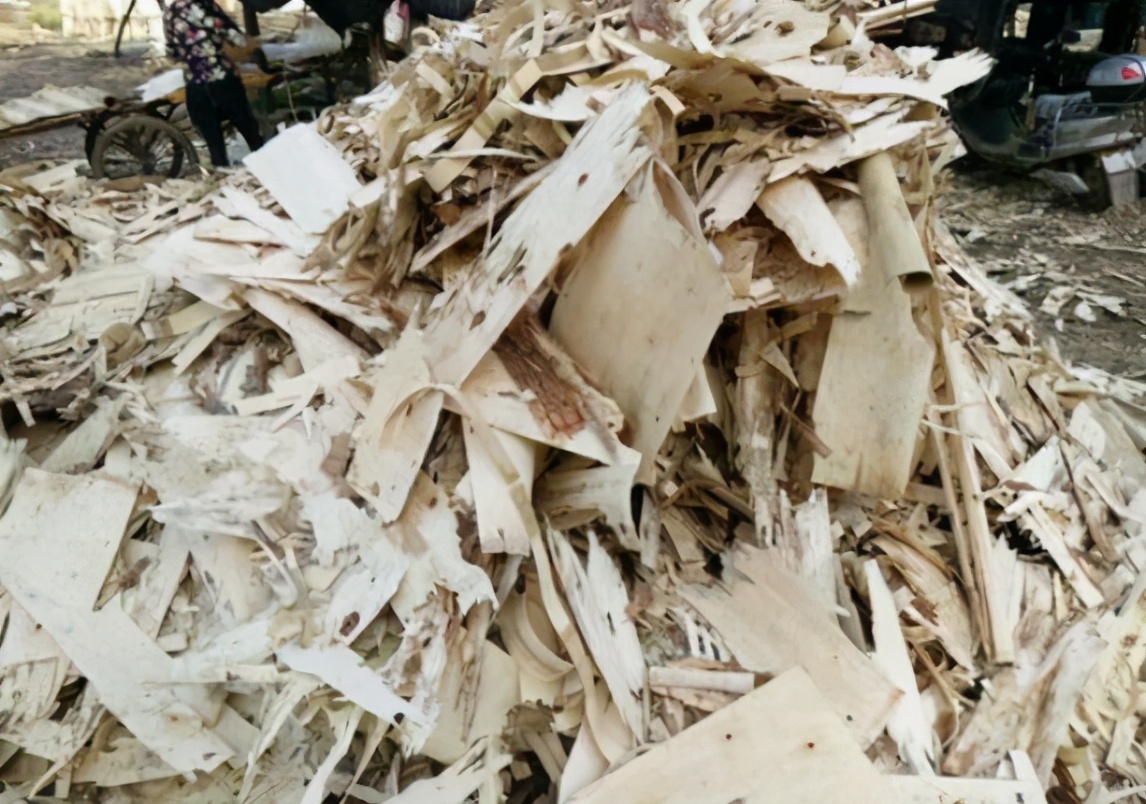 农村柴火灰收购,捡枯枝烧柴合法吗