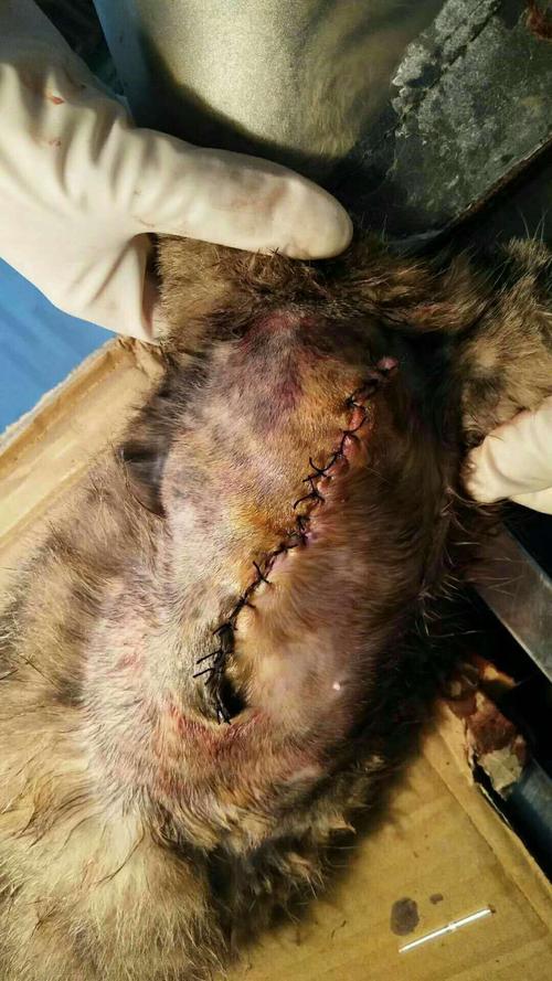 免拆线到底是拆还是不拆好,免拆线和普通线的利弊