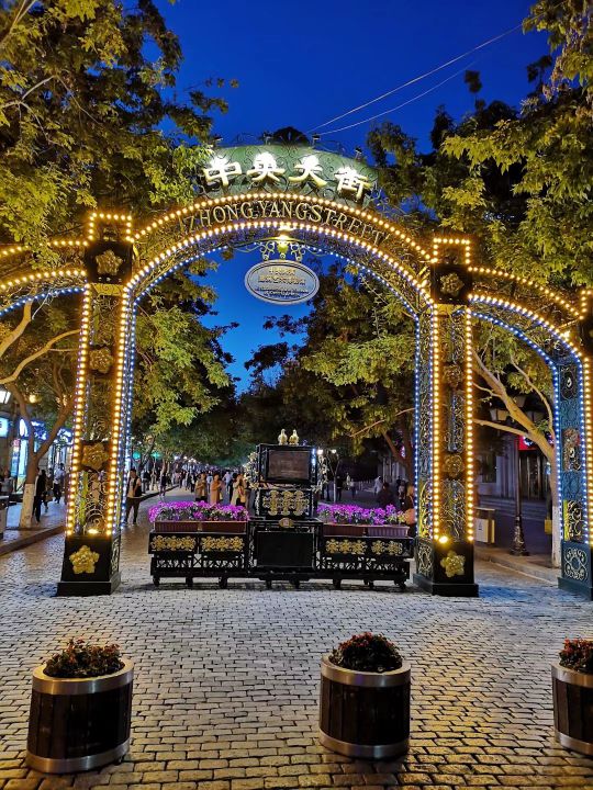 哈尔滨海拉尔呼伦贝尔旅游游记,哈尔滨漠河满洲里旅游攻略