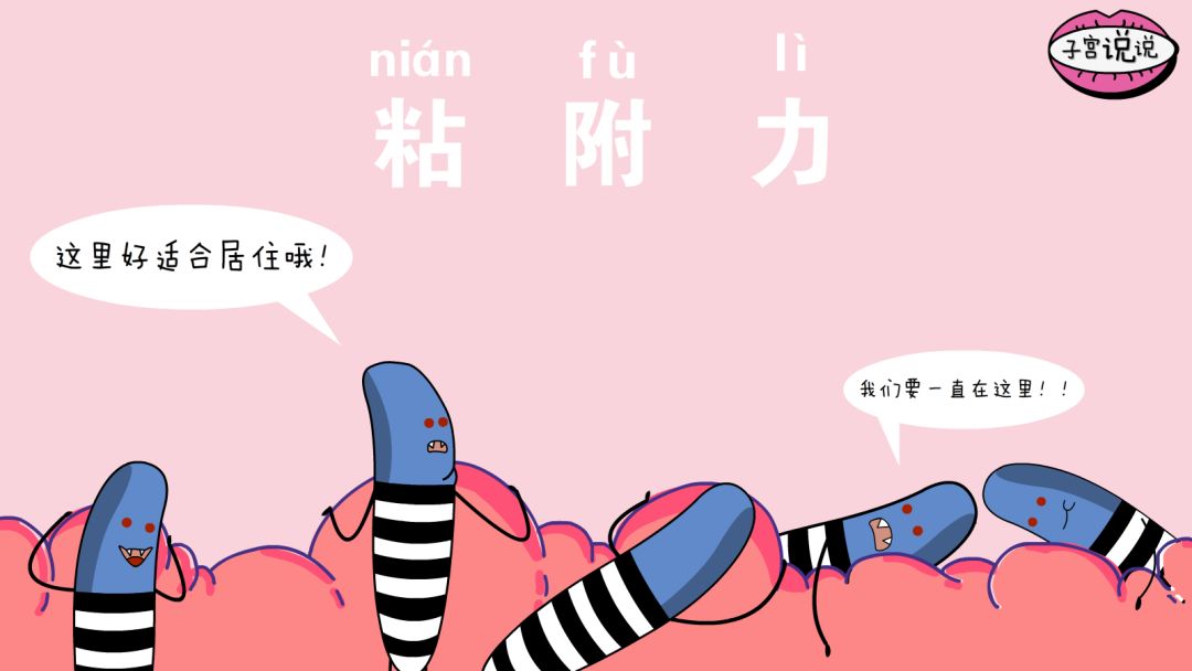 霉菌性阴道炎没有症状需要治疗吗,霉菌性阴道炎有什么症状用什么药