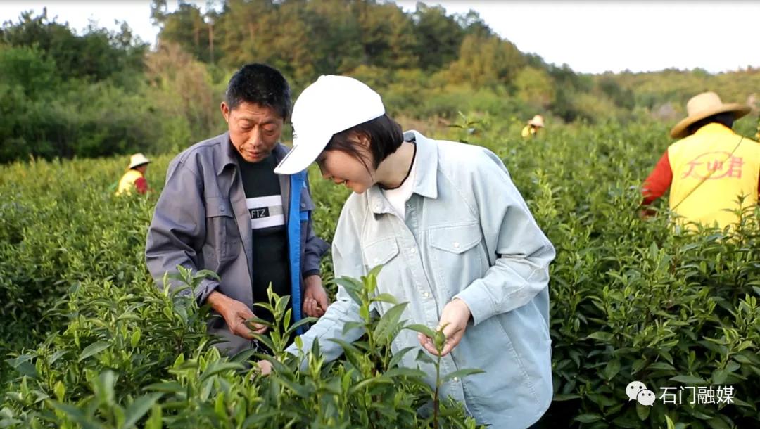 弃高薪！常德石门这个女硕士回村当“茶女”