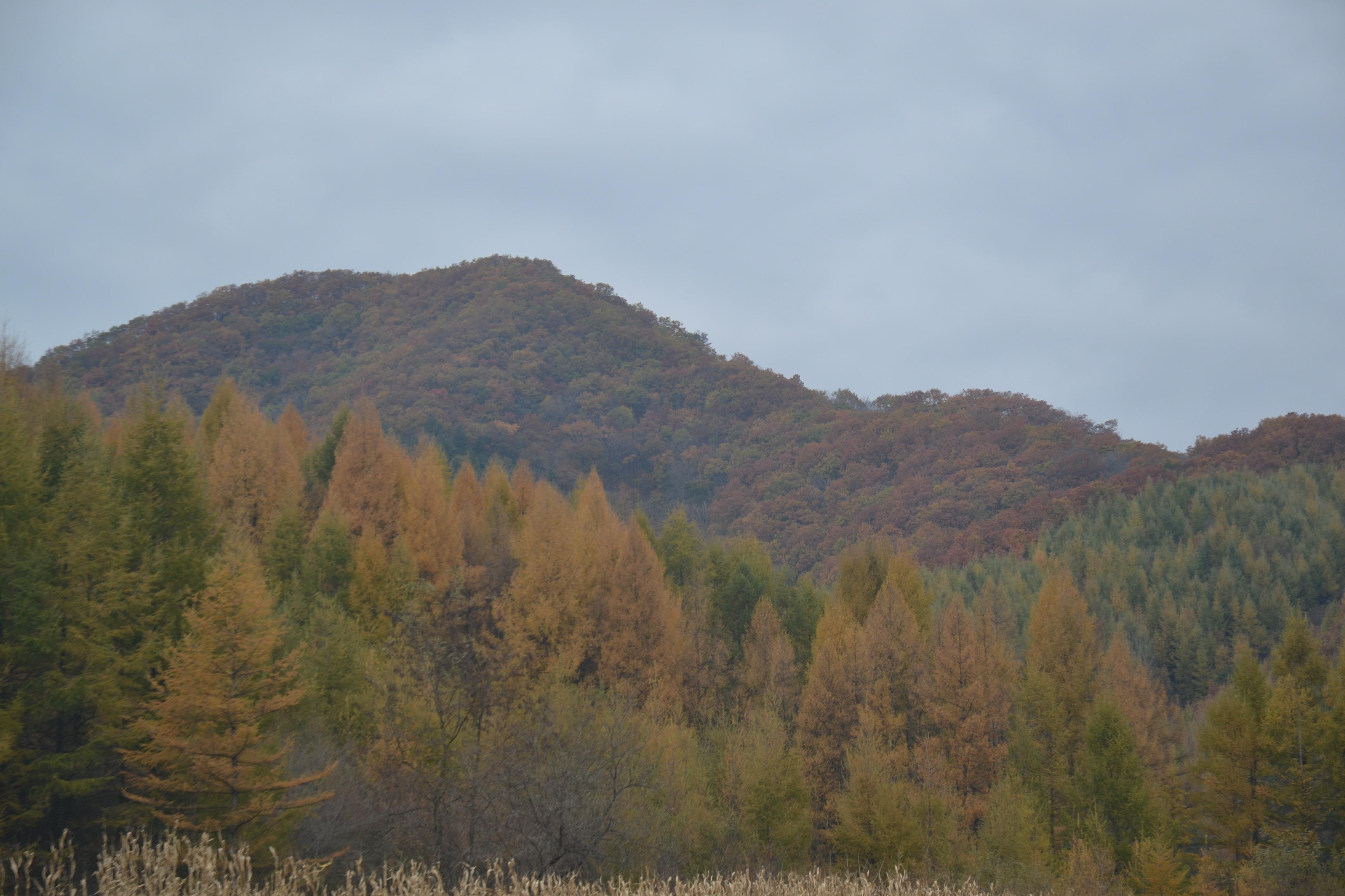 抚顺99座山峰游记,抚顺12座山峰