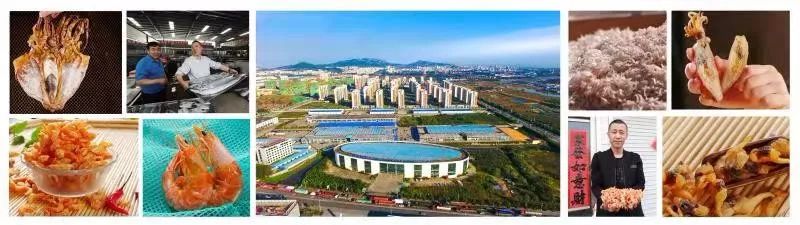 第4届日照海钓节,2019日照海钓节