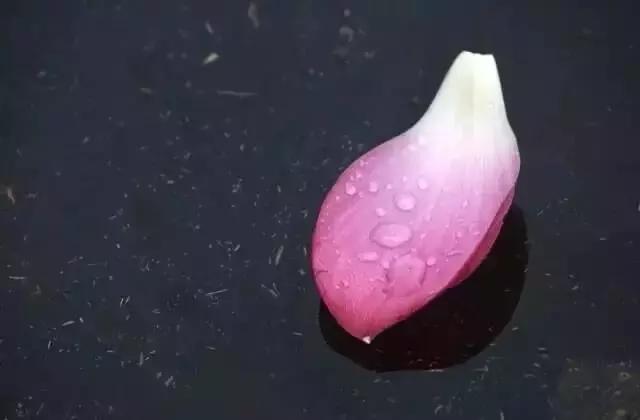 公文的一二三四级标题,公文标题应该注意的问题