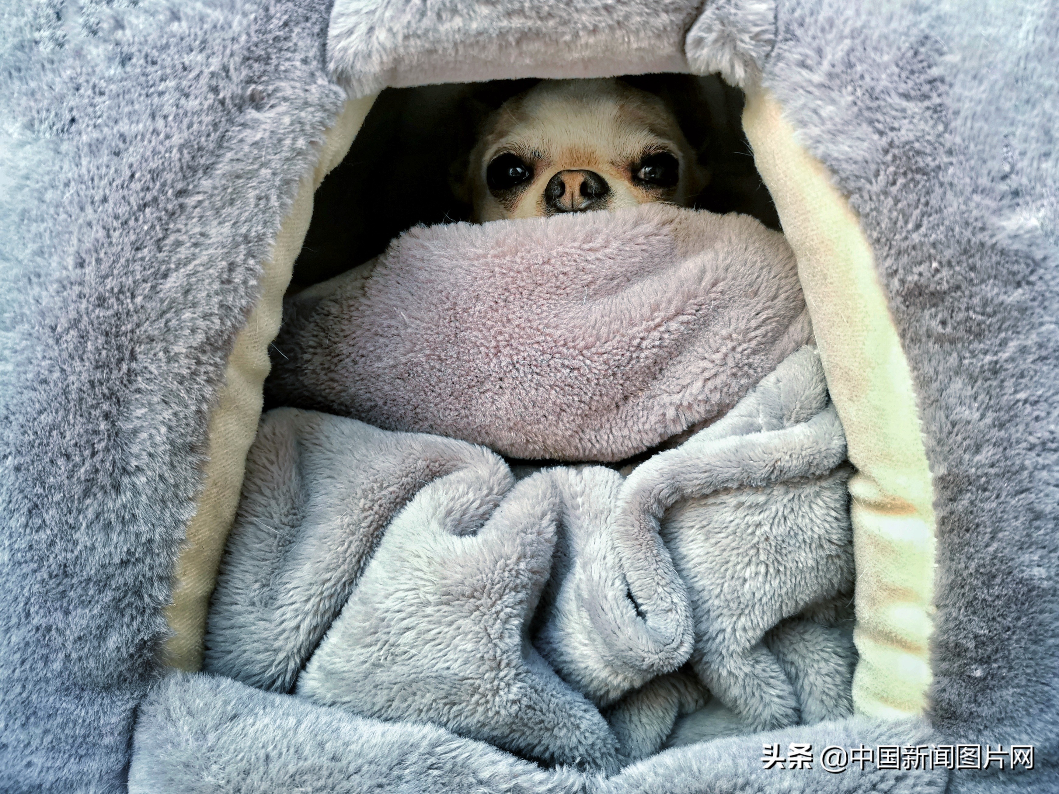 武汉志愿者抗疫纪实,志愿者抗疫期间的个人感悟