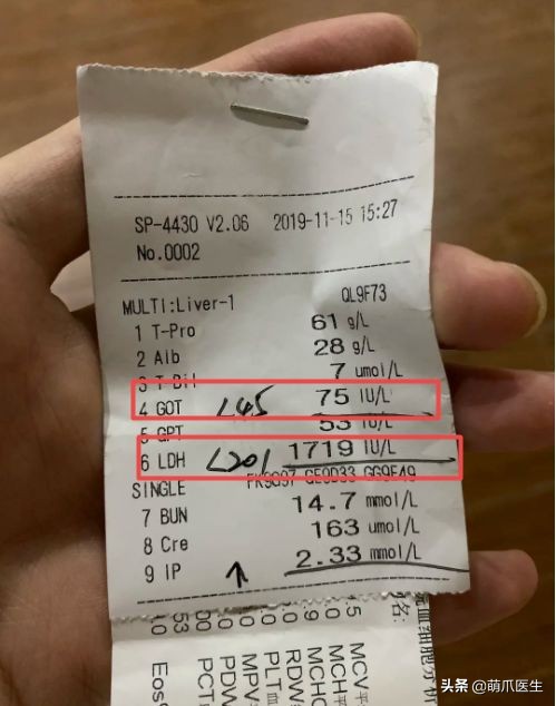 go猫粮吃了会黑下巴吗,go猫粮吃了拉黄水