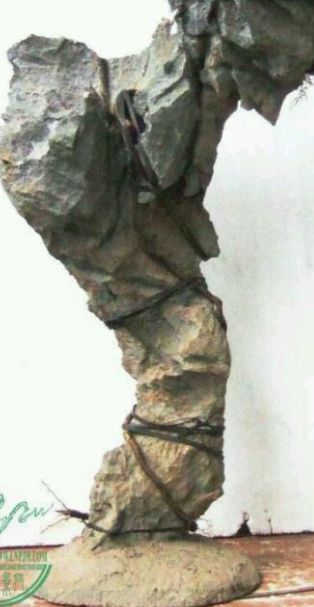 适合做附石盆景的植物,附石盆景如何固定石头