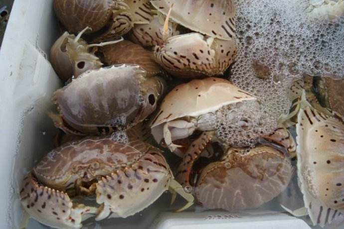 海南租车别克7座每天价格,海南自驾租车最便宜