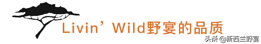 livinwild,livinwild澶滃鐚伯鍜嬫牱