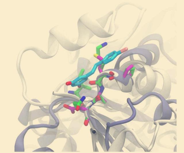 妈妈肺癌化疗失败之后,靶向治疗效果很棒!但如何解决耐药问题?