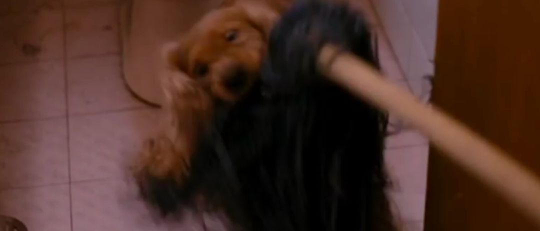 这部真实残忍的《狗十三》，揭露了多少中国式教育家庭