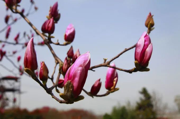 彭山景区活动购票,常德彭山景区游玩攻略图
