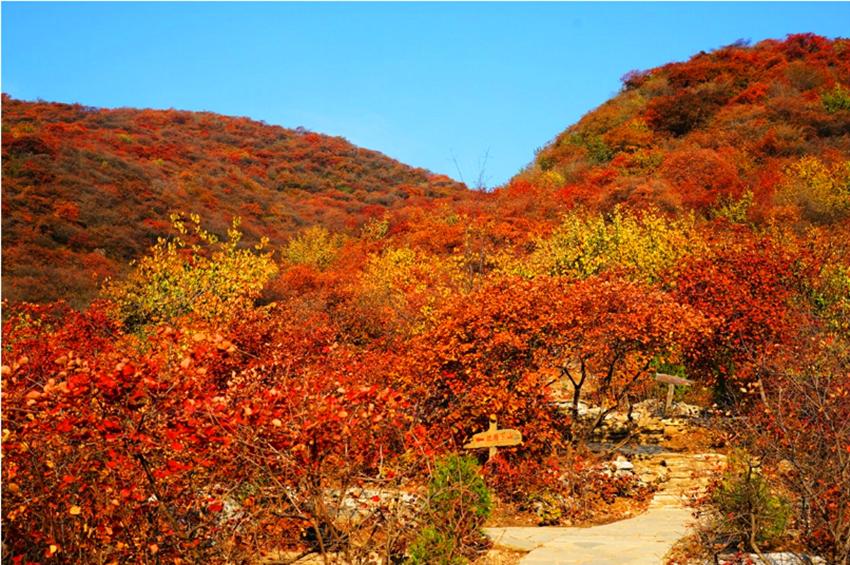 北京赏秋十大打卡地,北京赏秋