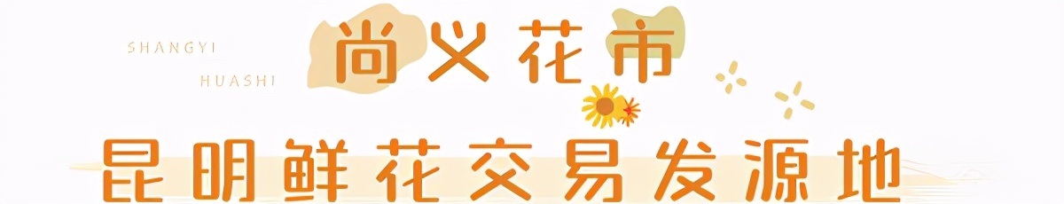 昆明鲜花进货渠道,昆明尚义花市