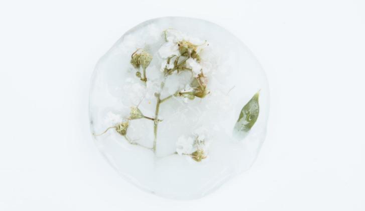 最好的生活态度就是顺其自然,顺其自然是对生活最好的选择