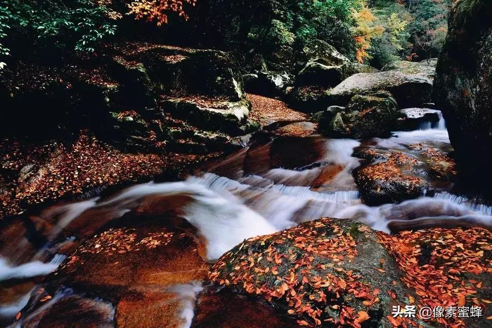 手机拍照新玩法,手机拍照可以有什么功能