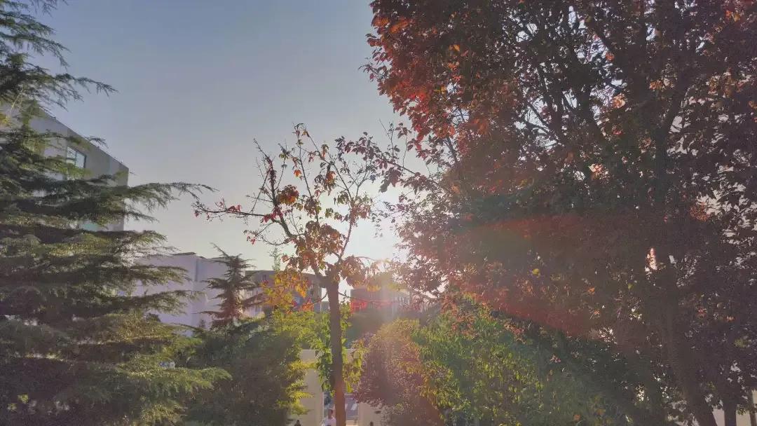 辽宁省高校（三十一）大连医科大学