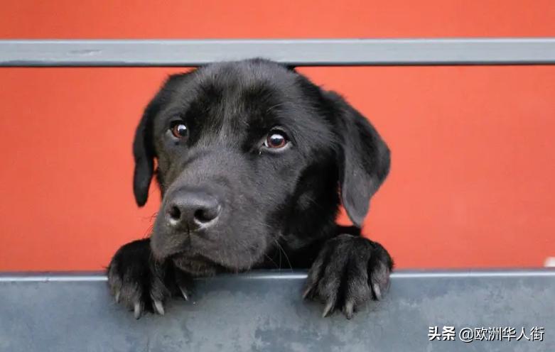 法国烟草新增税费,法国烟草能退税吗