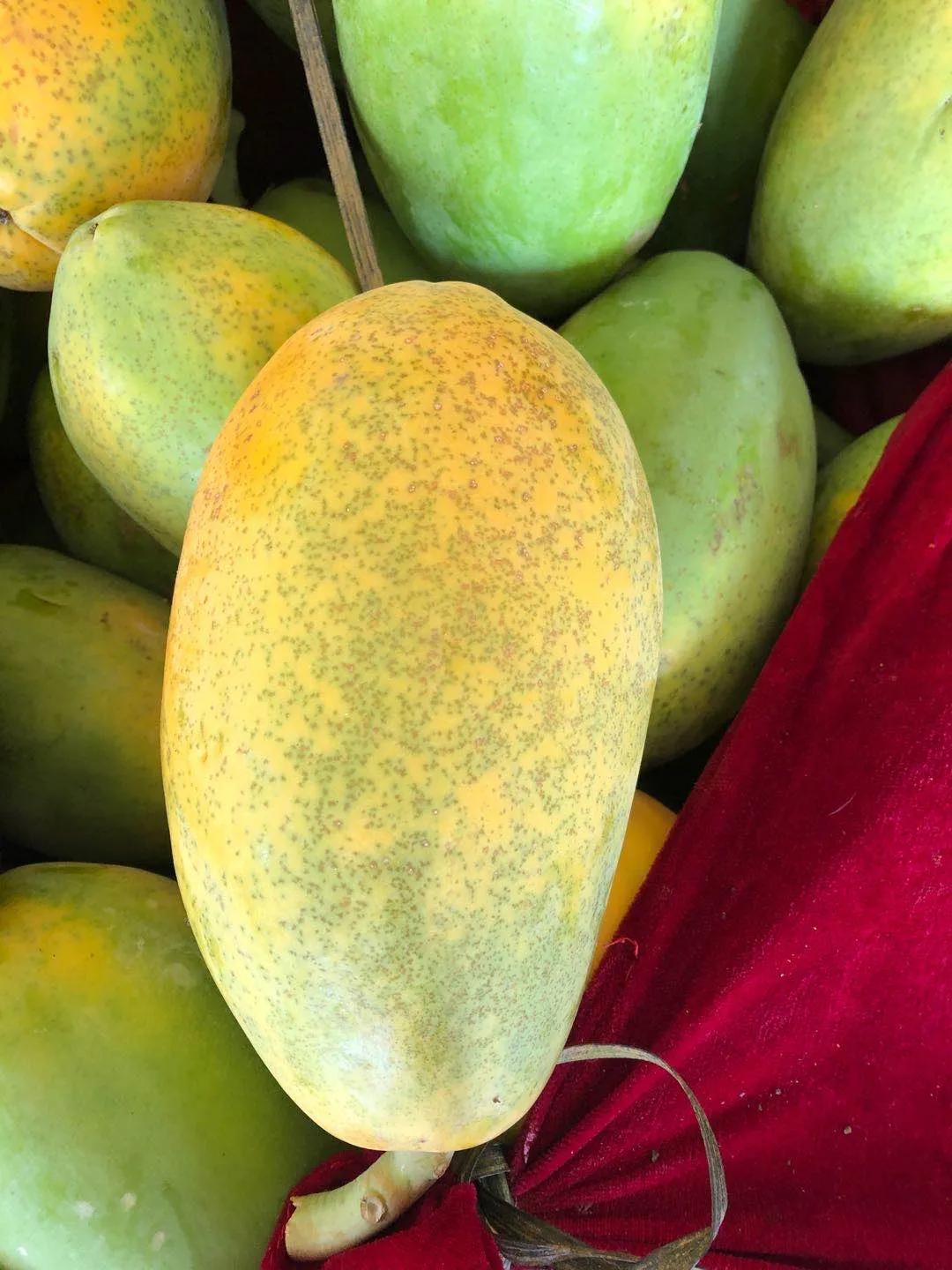 琼中女足最新比赛消息直播,琼中女足最新直播