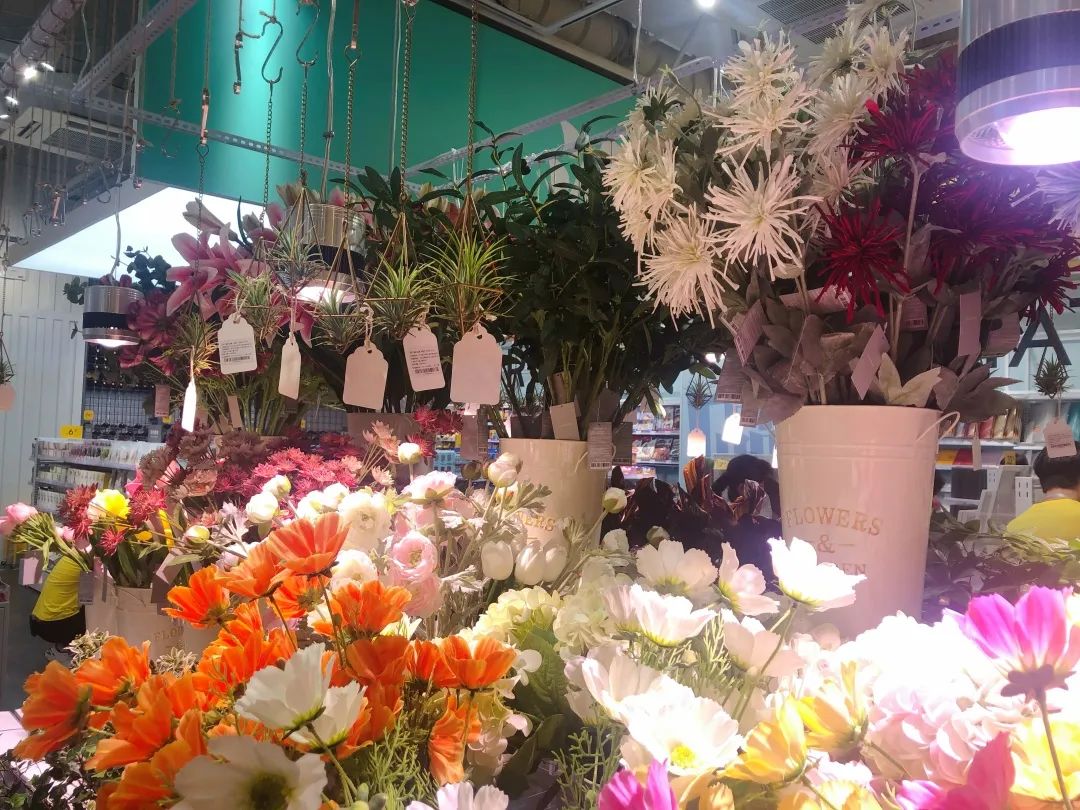 鼓楼kkv,福州鼓楼kkv在哪