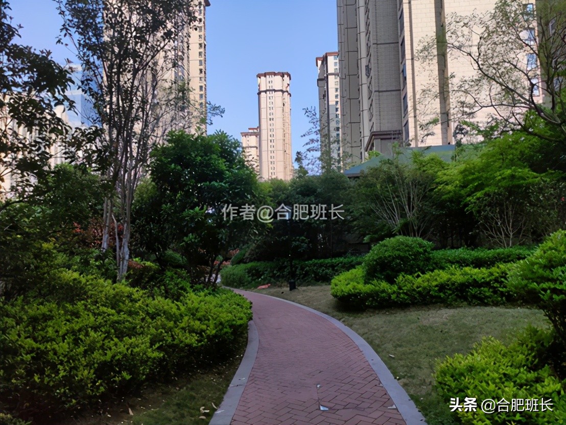 合肥滨湖新区四十六中附近,滨湖四十六中南校区有万科楼盘吗