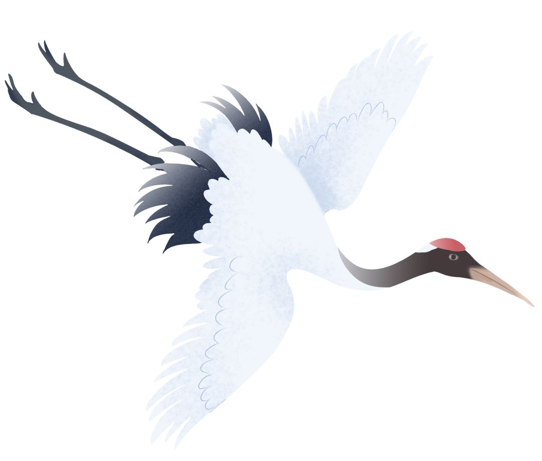 减肥后又反弹了应该怎么减,减肥期间便秘体重反弹