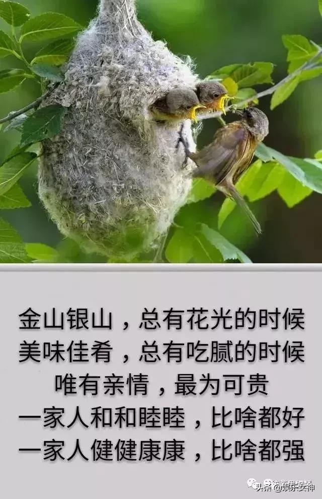 我的家庭相册文章,我的家庭相册细节